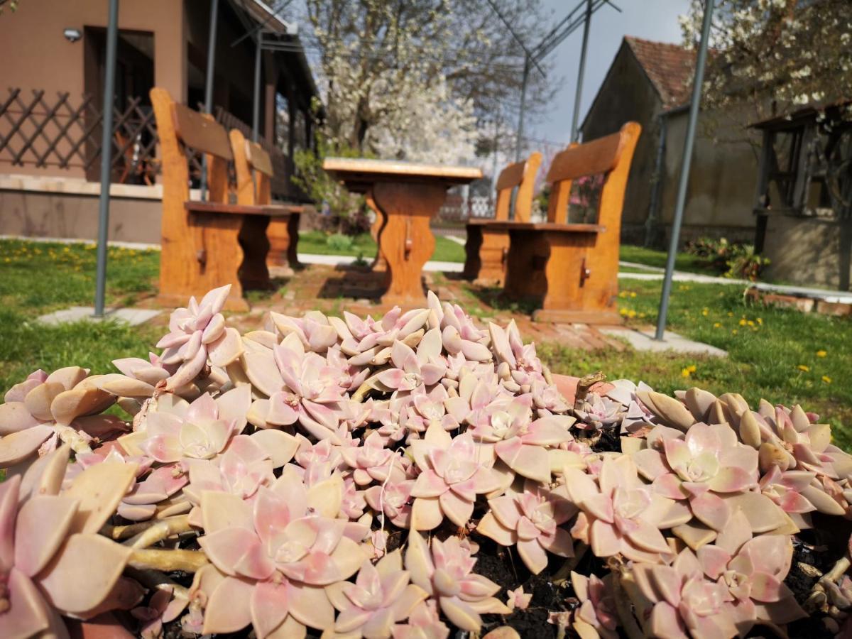 Turul -Kuca Za Odmor- Apartman Korod Kültér fotó