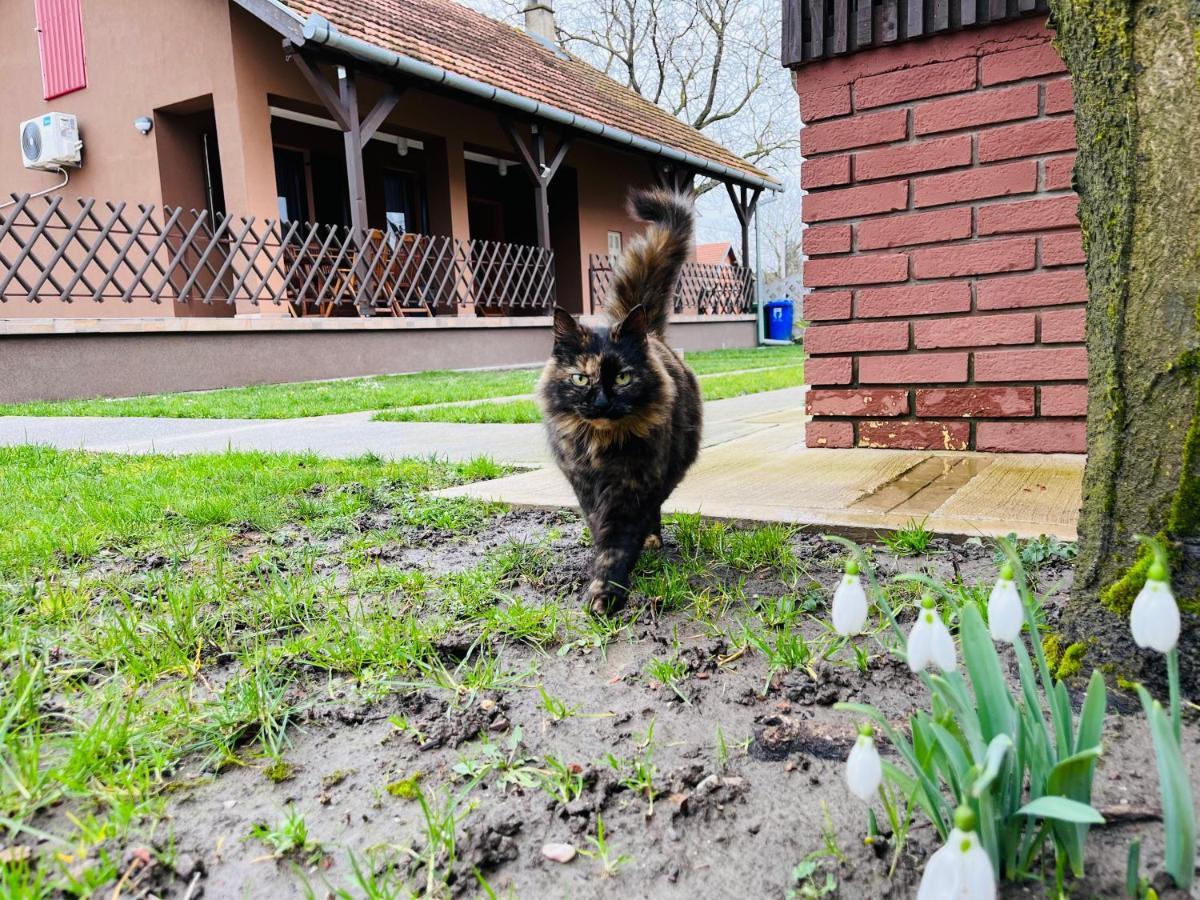 Turul -Kuca Za Odmor- Apartman Korod Kültér fotó