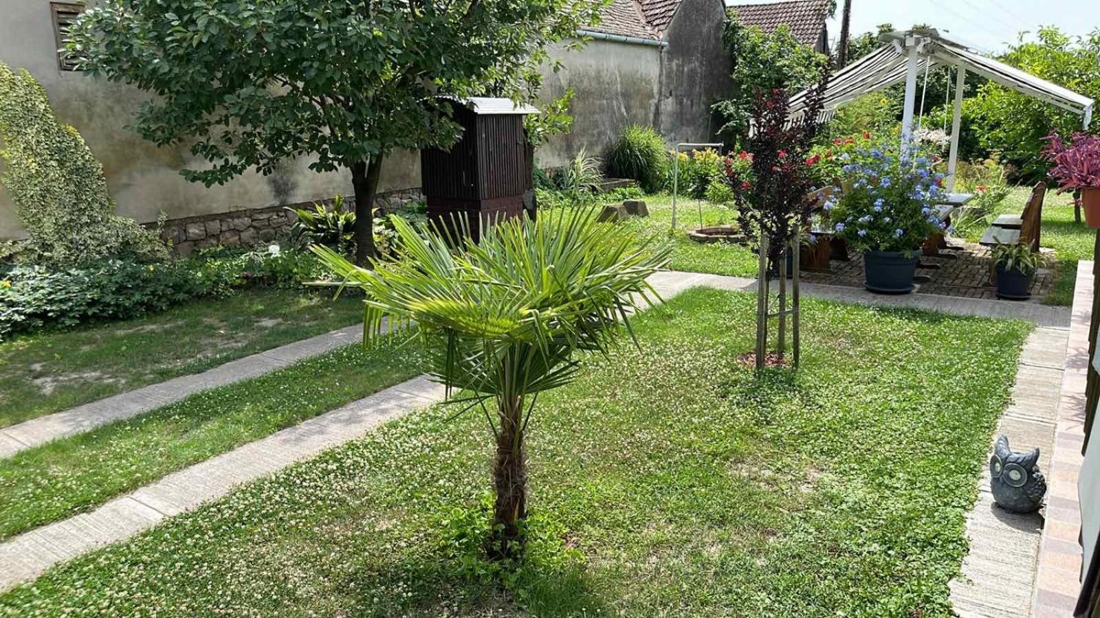 Turul -Kuca Za Odmor- Apartman Korod Kültér fotó